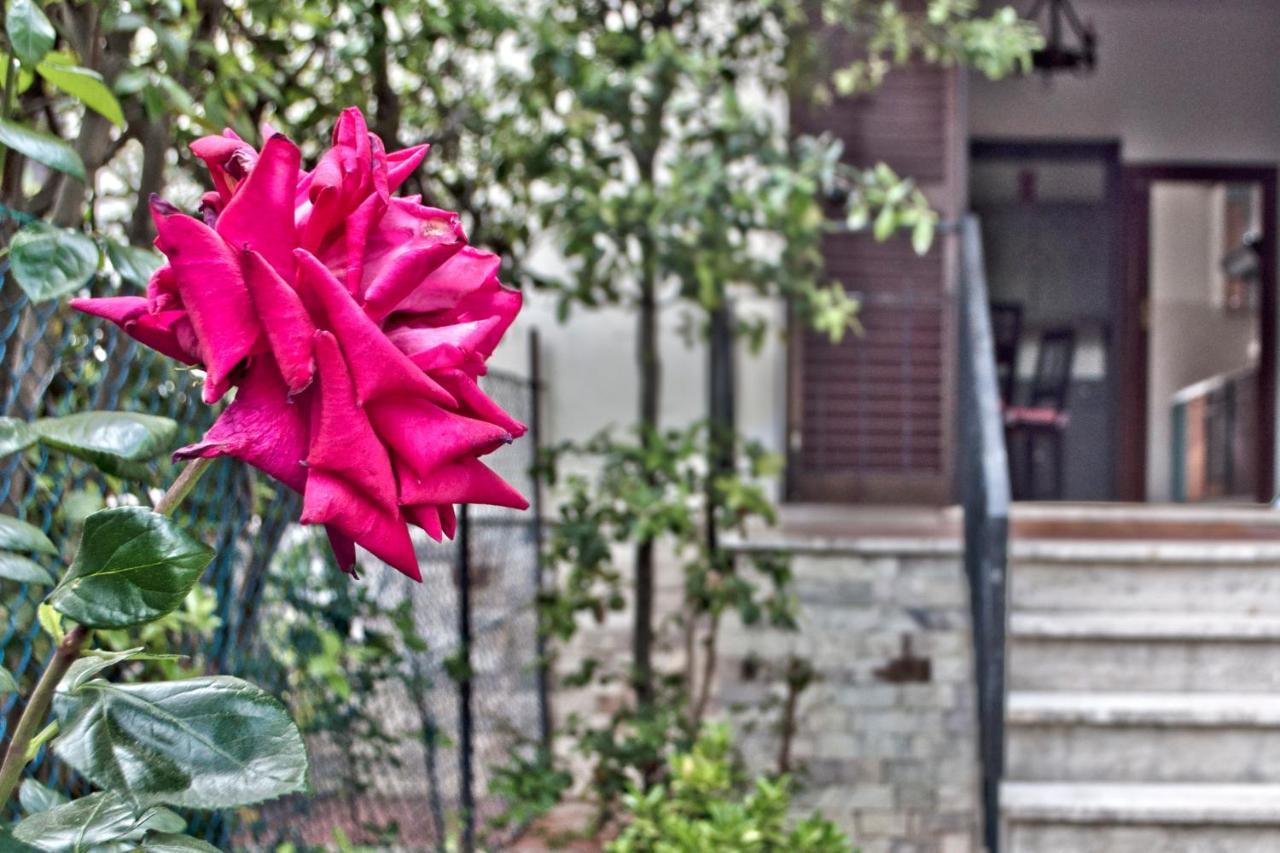 Apartmán Cedro Del Libano Castiglioncello Exteriér fotografie